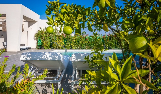 Resale - Villa -
Algorfa - Inland