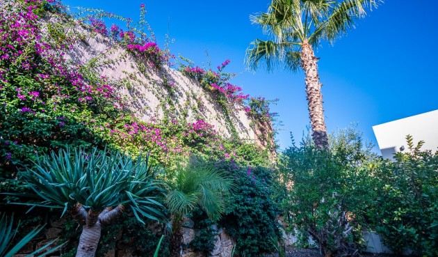 Resale - Villa -
Algorfa - Inland