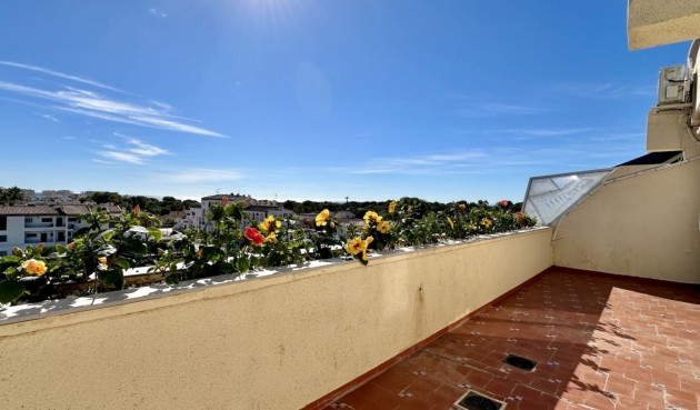 Brukt - Apartment -
Orihuela Costa - Costa Blanca