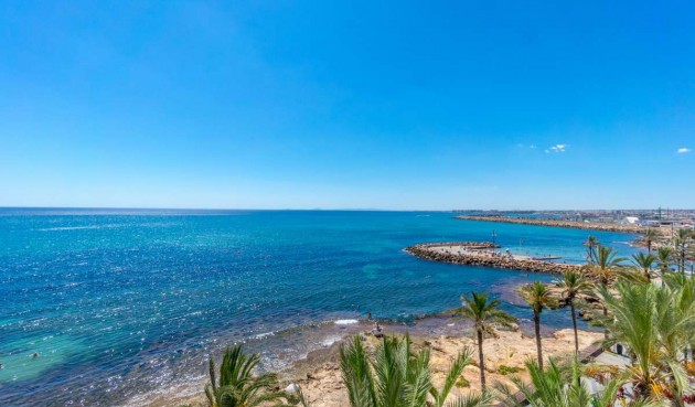 Återförsäljning - Apartment -
Torrevieja - Costa Blanca