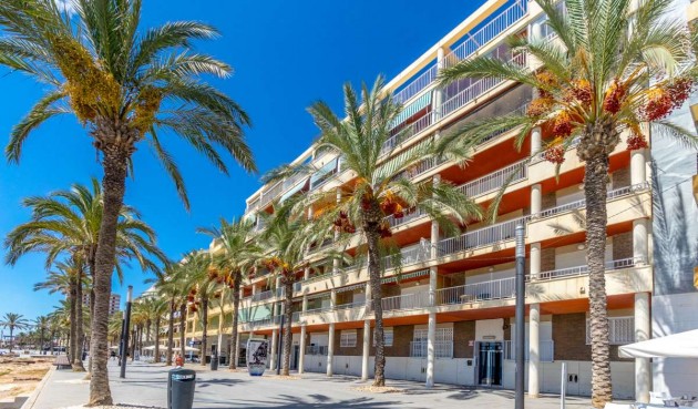 Återförsäljning - Apartment -
Torrevieja - Costa Blanca