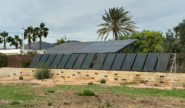 Resale - Villa -
Crevillent - Costa Blanca