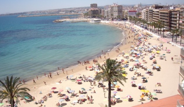 Resale - Apartment -
Torrevieja - Costa Blanca