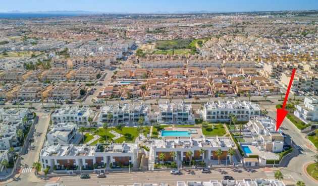 Resale - Bungalow -
Torrevieja - Costa Blanca