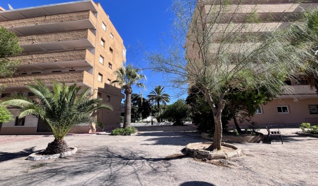 Resale - Apartment -
La Mata - Costa Blanca