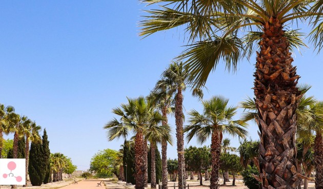 Nybyggnation - Villa -
San Fulgencio - La Escuera