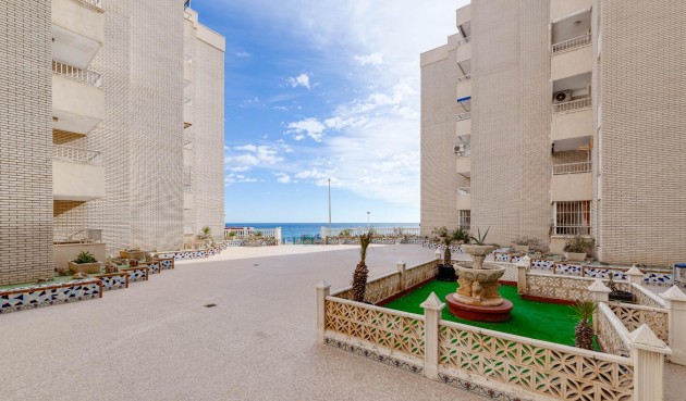 Brukt - Apartment -
Torrevieja - Centro