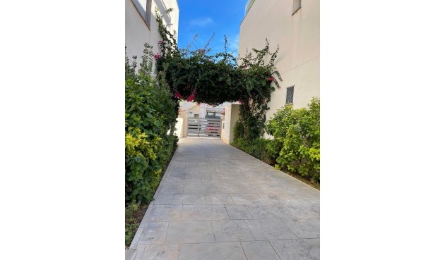 Återförsäljning - Bungalow -
Torrevieja - Costa Blanca