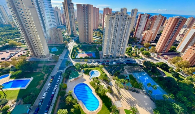 Reventa - Apartment -
Benidorm - Costa Blanca