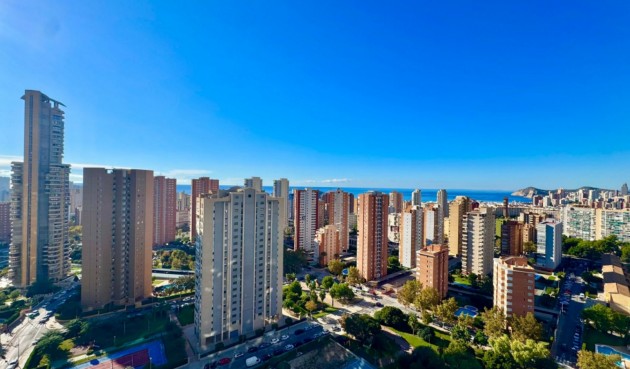 Reventa - Apartment -
Benidorm - Costa Blanca