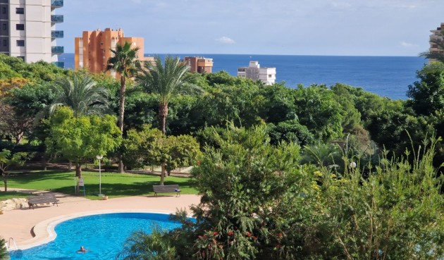 Reventa - Apartment -
Benidorm - Costa Blanca