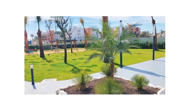 Korttidsleie - Apartment -
Punta Prima - Costa Blanca