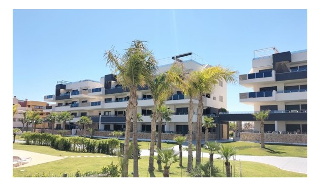 Korttidsleie - Apartment -
Punta Prima - Costa Blanca