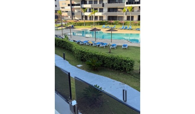 Korttidsleie - Apartment -
Punta Prima - Costa Blanca