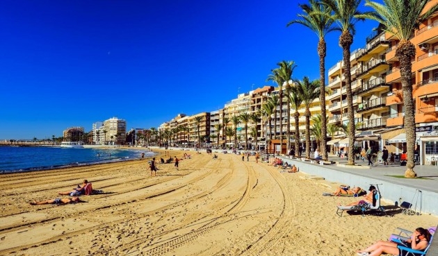 Korttidsleie - Apartment -
Torrevieja - CENTRE