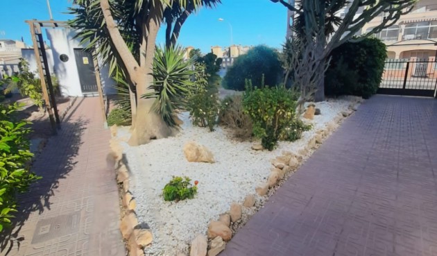 Resale - Duplex -
Playa Flamenca - Costa Blanca