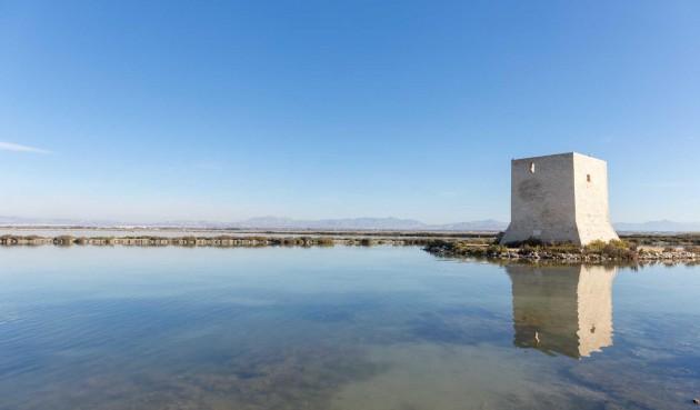 New Build - Apartment -
Santa Pola - Estacion de autobuses