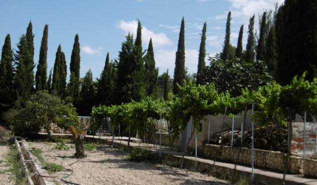 Resale - Villa -
Yecla - Inland