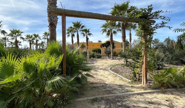 Återförsäljning - Town House -
Dolores - Costa Blanca