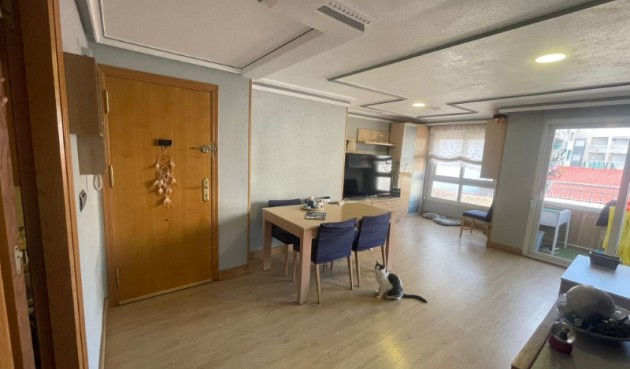 Resale - Apartment -
Torrevieja - Costa Blanca