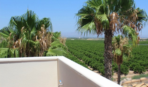 Resale - Villa -
Algorfa - Inland