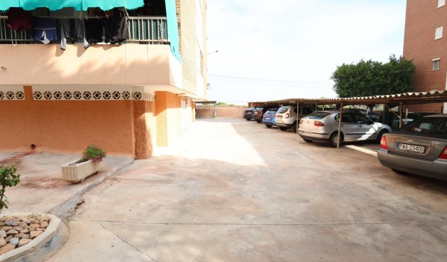 Reventa - Apartment -
Torrevieja - Costa Blanca