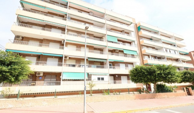 Reventa - Apartment -
Torrevieja - Costa Blanca