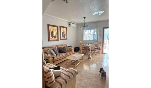 Resale - Duplex -
Torrevieja - Torreblanca