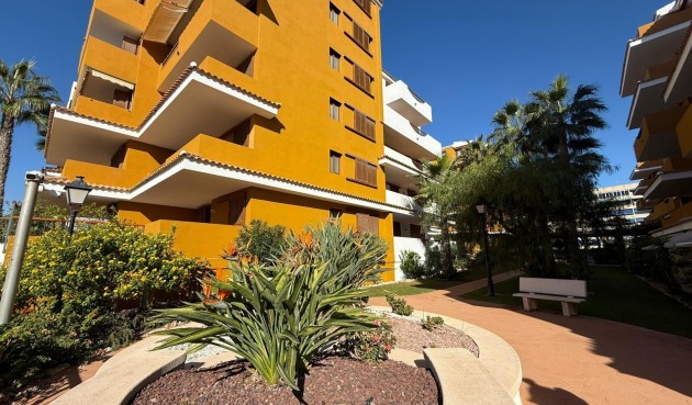 Brukt - Apartment -
Torrevieja - Punta Prima