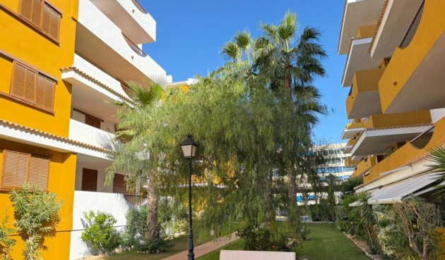 Brukt - Apartment -
Torrevieja - Punta Prima