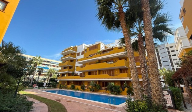 Brukt - Apartment -
Torrevieja - Punta Prima