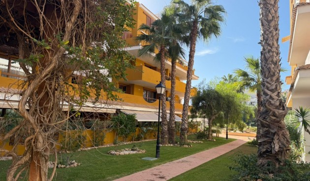 Brukt - Apartment -
Torrevieja - Punta Prima