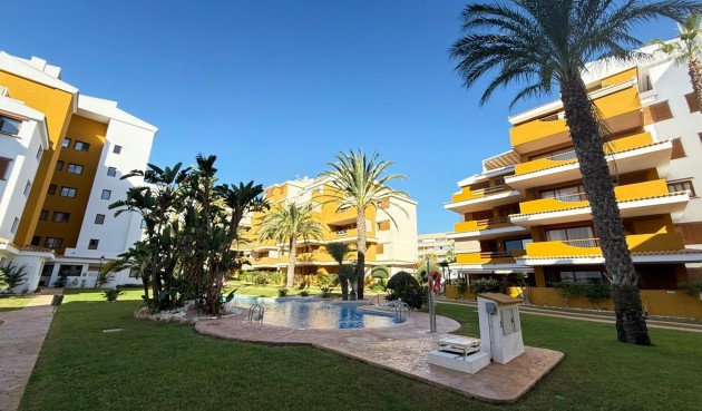 Brukt - Apartment -
Torrevieja - Punta Prima