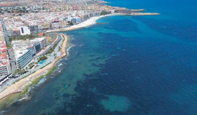 Resale - Apartment -
Torrevieja - Playa del Cura