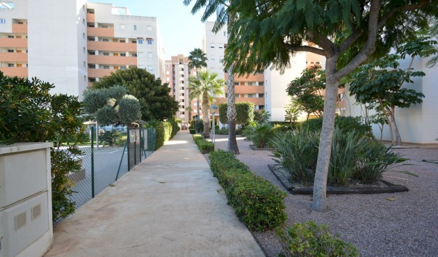 Resale - Apartment -
Guardamar del Segura - Costa Blanca
