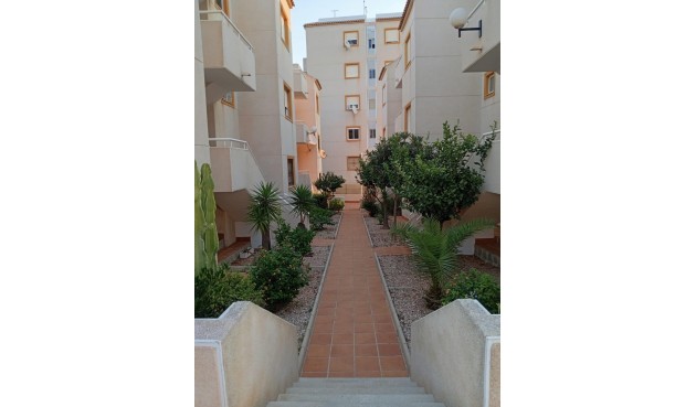Återförsäljning - Apartment -
Torrevieja - Torreblanca