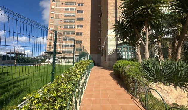 Resale - Apartment -
Orihuela Costa - Campoamor