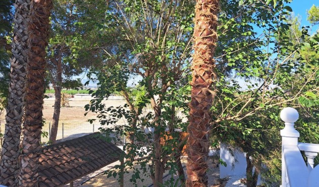 Resale - Villa -
Orihuela - Desamparados-hurchillo-torremendo