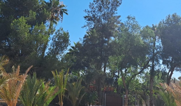 Resale - Villa -
Orihuela - Desamparados-hurchillo-torremendo