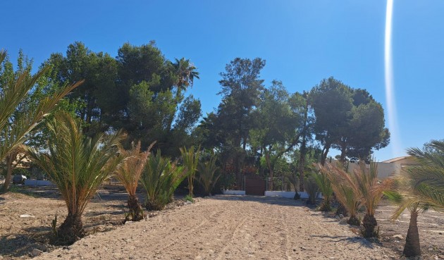 Resale - Villa -
Orihuela - Desamparados-hurchillo-torremendo