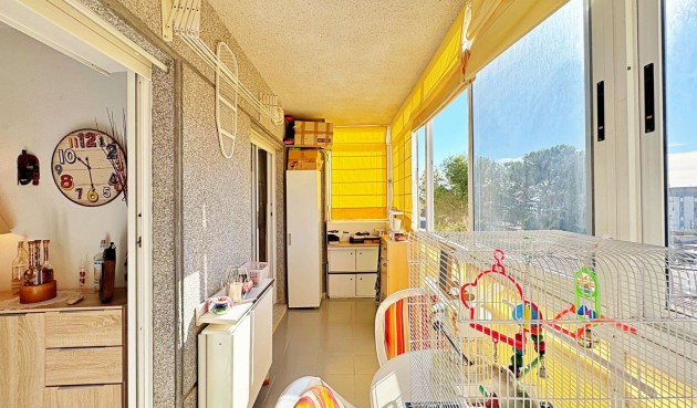 Återförsäljning - Apartment -
Torrevieja - Costa Blanca