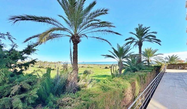 Återförsäljning - Apartment -
Torrevieja - Costa Blanca