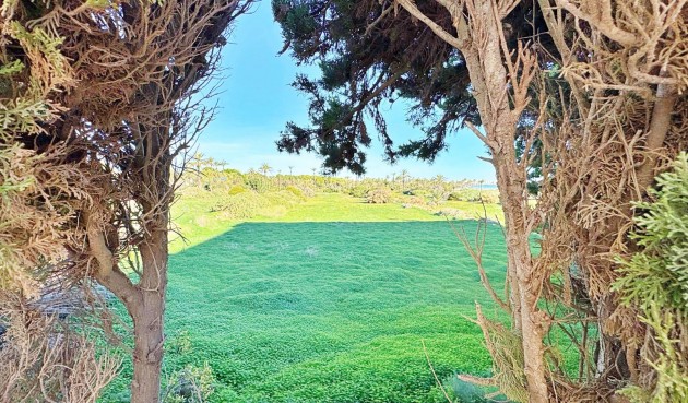 Återförsäljning - Apartment -
Torrevieja - Costa Blanca