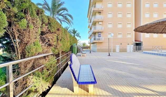 Återförsäljning - Apartment -
Torrevieja - Costa Blanca