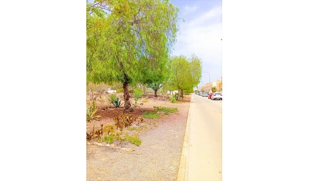 Återförsäljning - Apartment -
Orihuela Costa - La Florida