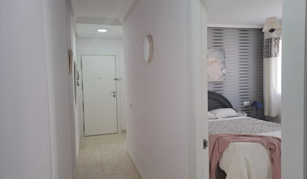 Resale - Apartment -
Torrevieja - Costa Blanca
