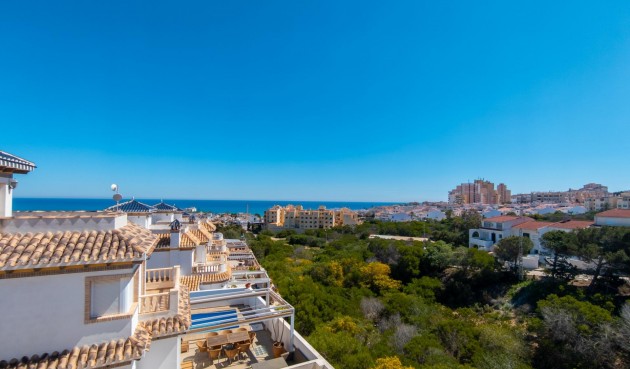 Resale - Villa -
Torrevieja - La Mata