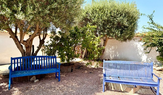 Resale - Villa -
Dolores - Comunidad Valenciana
