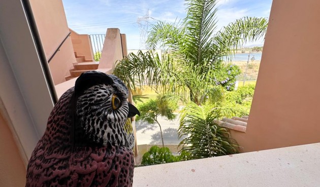 Reventa - Apartment -
Mar Menor Golf Resort - Inland