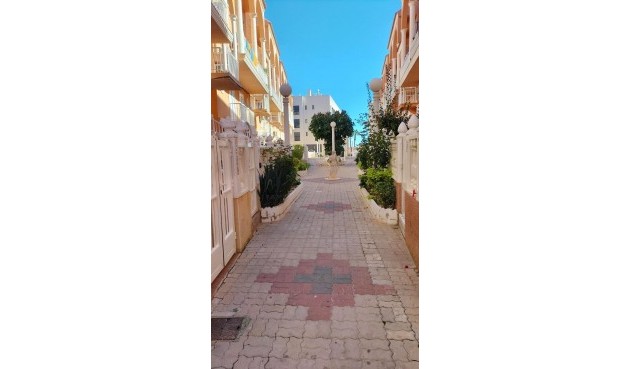 Reventa - Apartment -
Torrevieja - La Mata